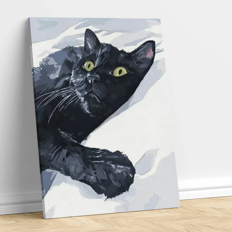 Schwarze Katze wartet
