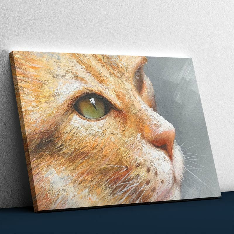 Die ernste Katze