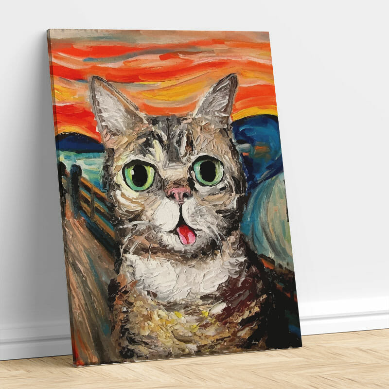Überrascht Katze