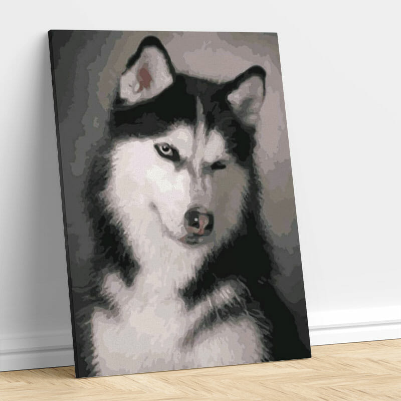 Was geht hier vor - Hund