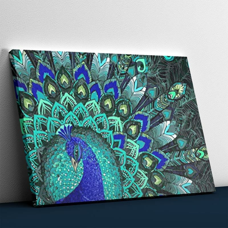 Schüchterner Pfau