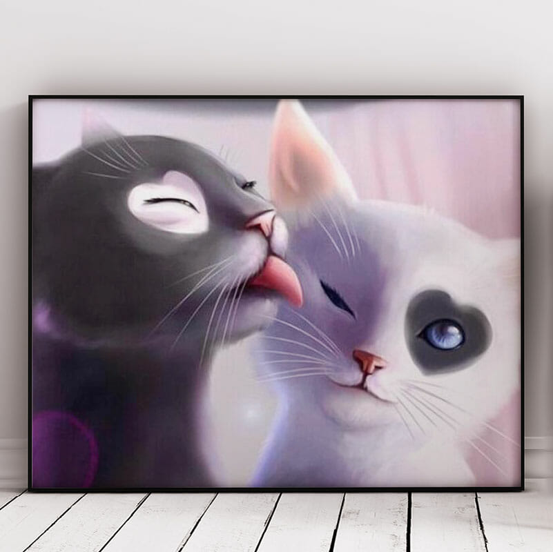 Schwarz-Weiß-Katzen